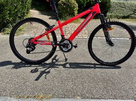 SCOOL Team CX 24,  21-Gang Kinder-\Jugend-Mountainbike